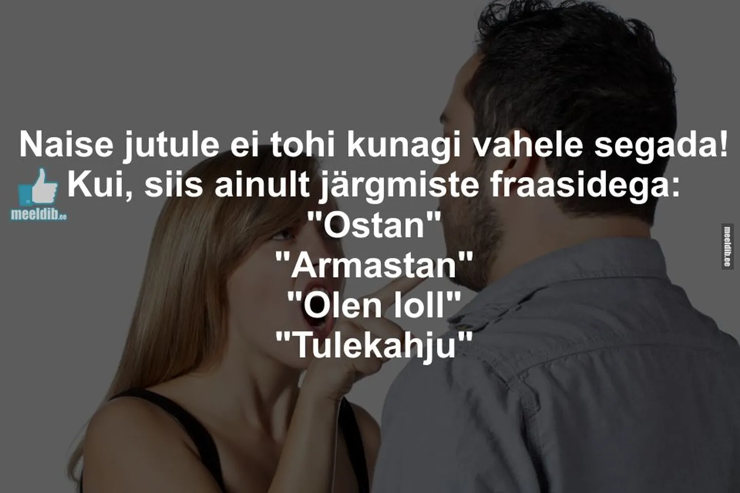 Artikli foto