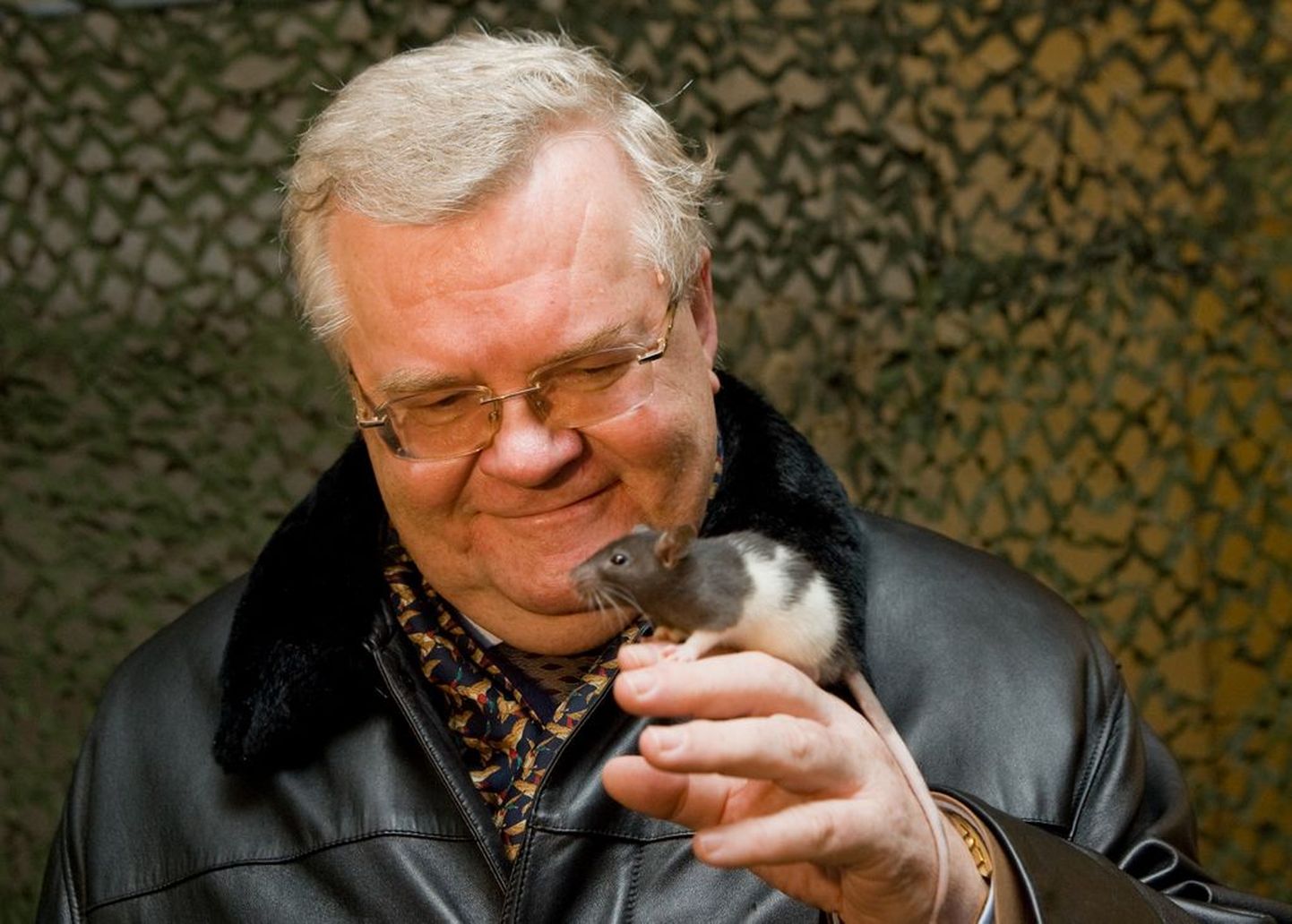 Tallinna linnapea Edgar Savisaar loomaaias rotiaasta alguse puhul rotti vaatamas. .