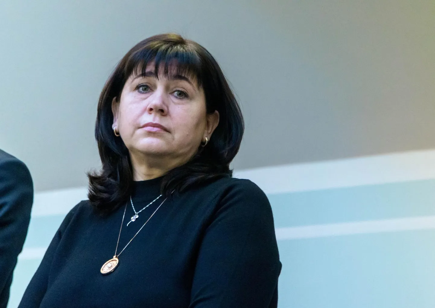 Kooli pidaja Ale Sprenki sõnul on enamik ministeeriumi välja toodud probleeme praeguseks lahendatud.