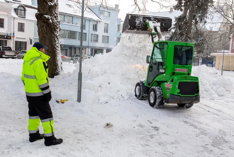 Skulptor Rait Pärg annab vabakooli õpilaste abiga eile Pärnus Lasteparki toodud hiiglaslikule lumehunnikule tuleva nädala alguseks kärssnina kuju, sest Hiina kalendri järgi algab teisipäeval kollase sea aasta.