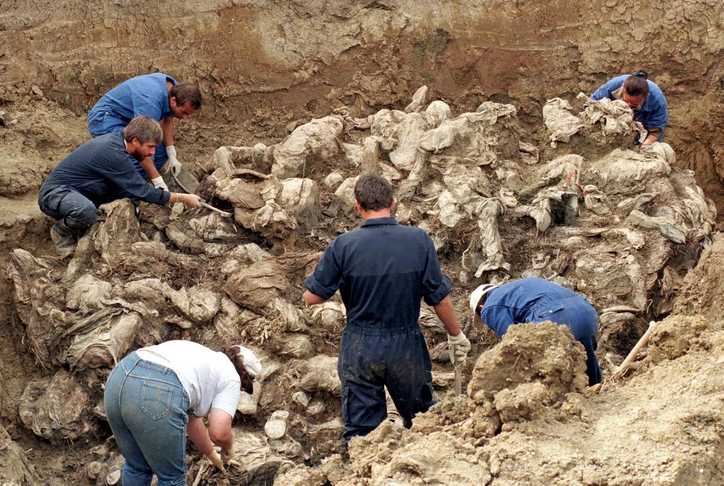 Rahvusvaheline kohtuekspertide meeskond uurib Srebrenica massimõrva ohvrite säilmeid Pilices 1996. aasta varasügisel. Umbes 130 Bosnia moslemi meest toimetati Srebrenicast bussidega enam kui 60 kilomeetri kaugusel asuva küla põllule, lasti maha ja maeti massihauda. Kaks aastat pärast veretööd, 1997. aasta suvel jõuti nii kaugele, et tuvastati esimesed Pilicesest leitud säilmed – tegu oli üldse esimeste Srebrenica genotsiidi ohvritega, kes identifitseeriti.