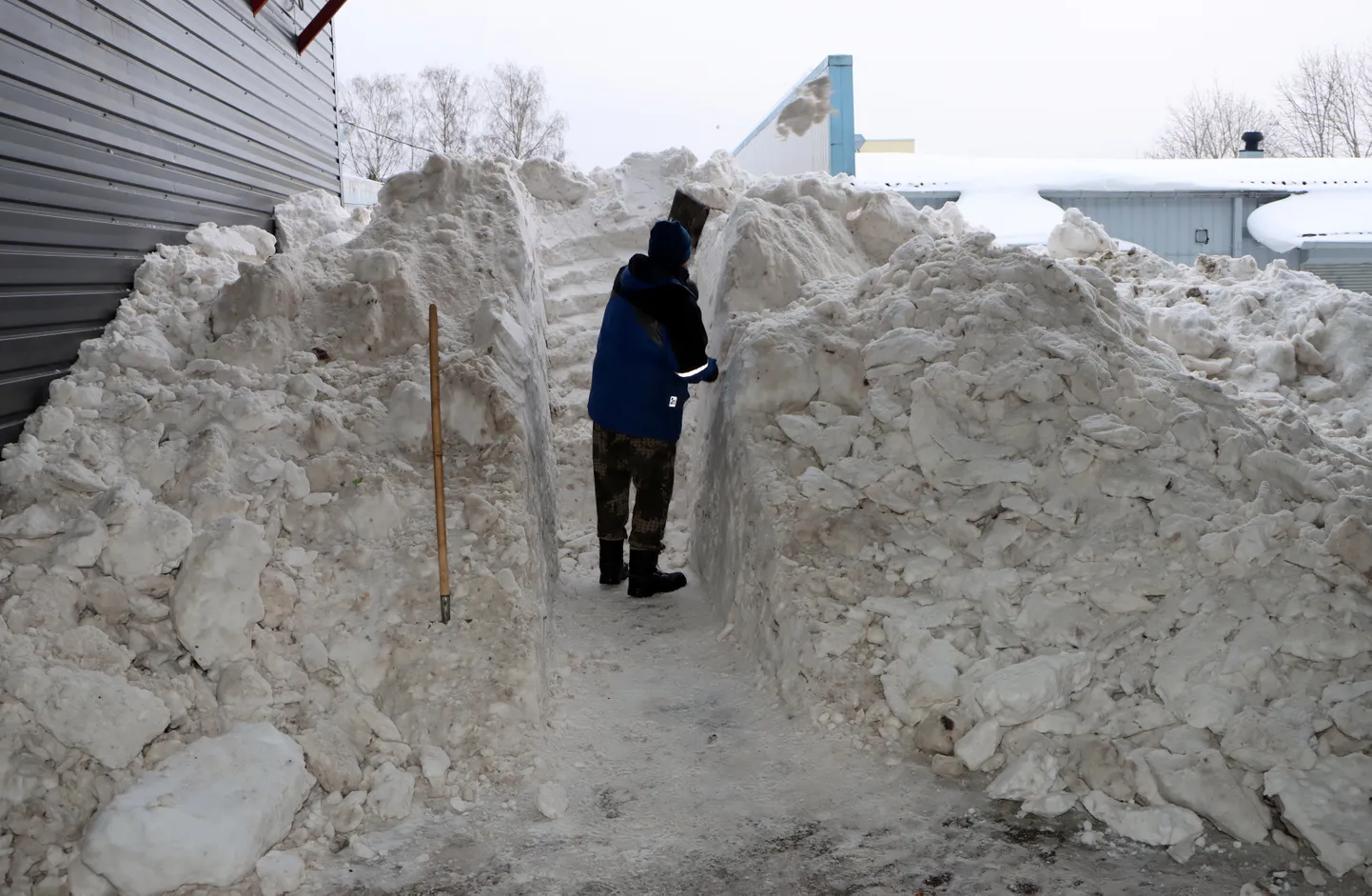 Läbipääsu kaevates pole lund kusagile mujale panna kui juba üle kahe meetri kõrge hange otsa visata.