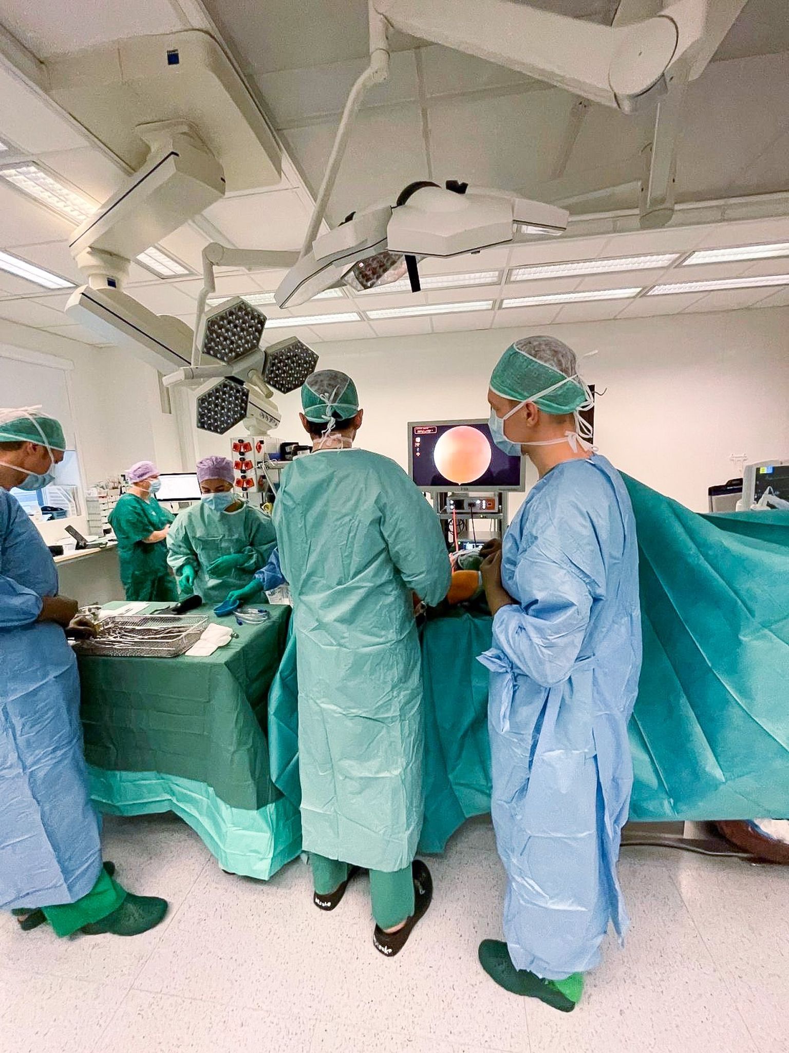 Kliinikumis tehti esmakordselt operatsioon liigesekõhre taastamiseks innovaatilise implantaadiga.