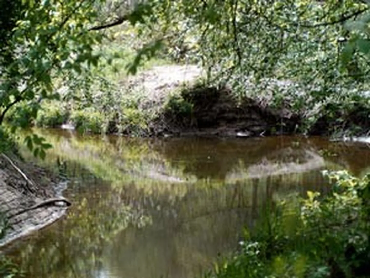 Raksta foto