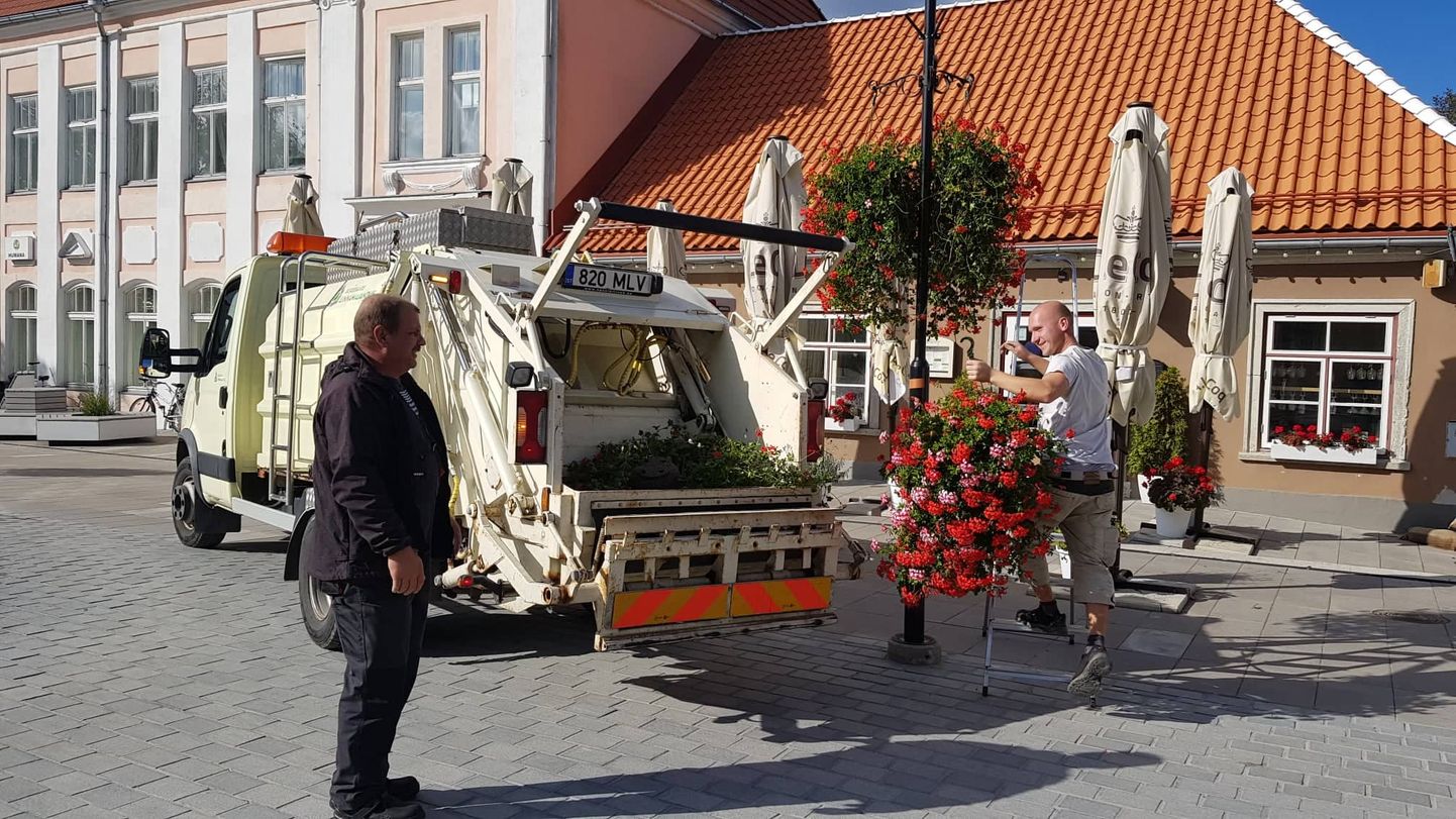 LILLED PRÜGISSE: Selleks aastaks on lõbu läbi ja järgmisel aastal tuleb uuesti, põhjendas lillekoristusaktsiooni Linnamajanduse töödejuhataja Urmas Kuusk.