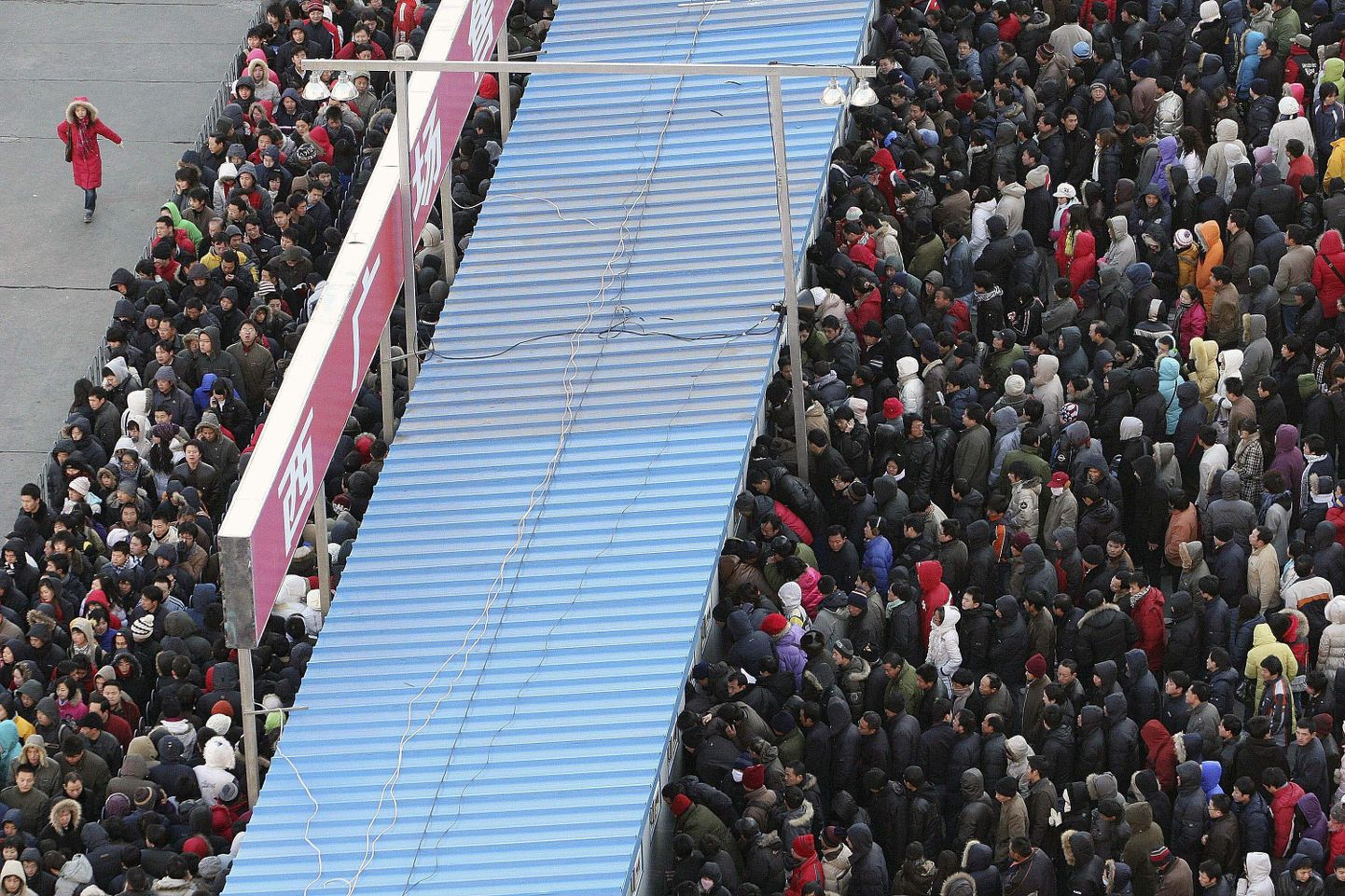 Pekinglased rongi ootamas