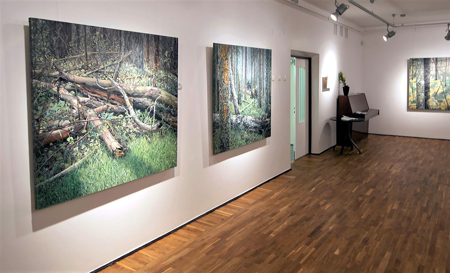 Выставка картин Яне Ремм "Rägastikud, Metsik paradiis, Metsamorfoos ja mnt" проработает в галерее Йыхвиской художественной школы до 26 февраля.