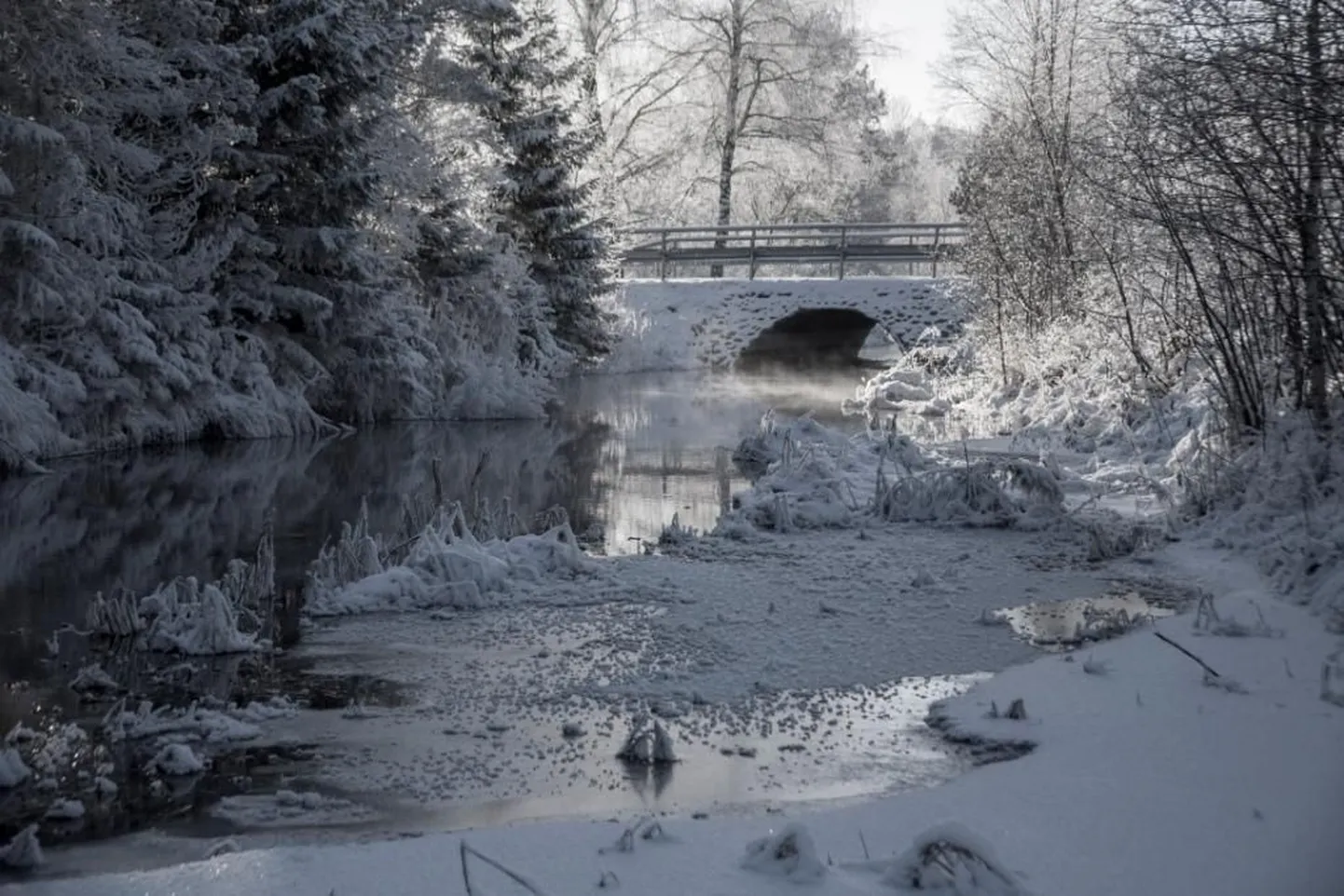 Eestimaa talv.