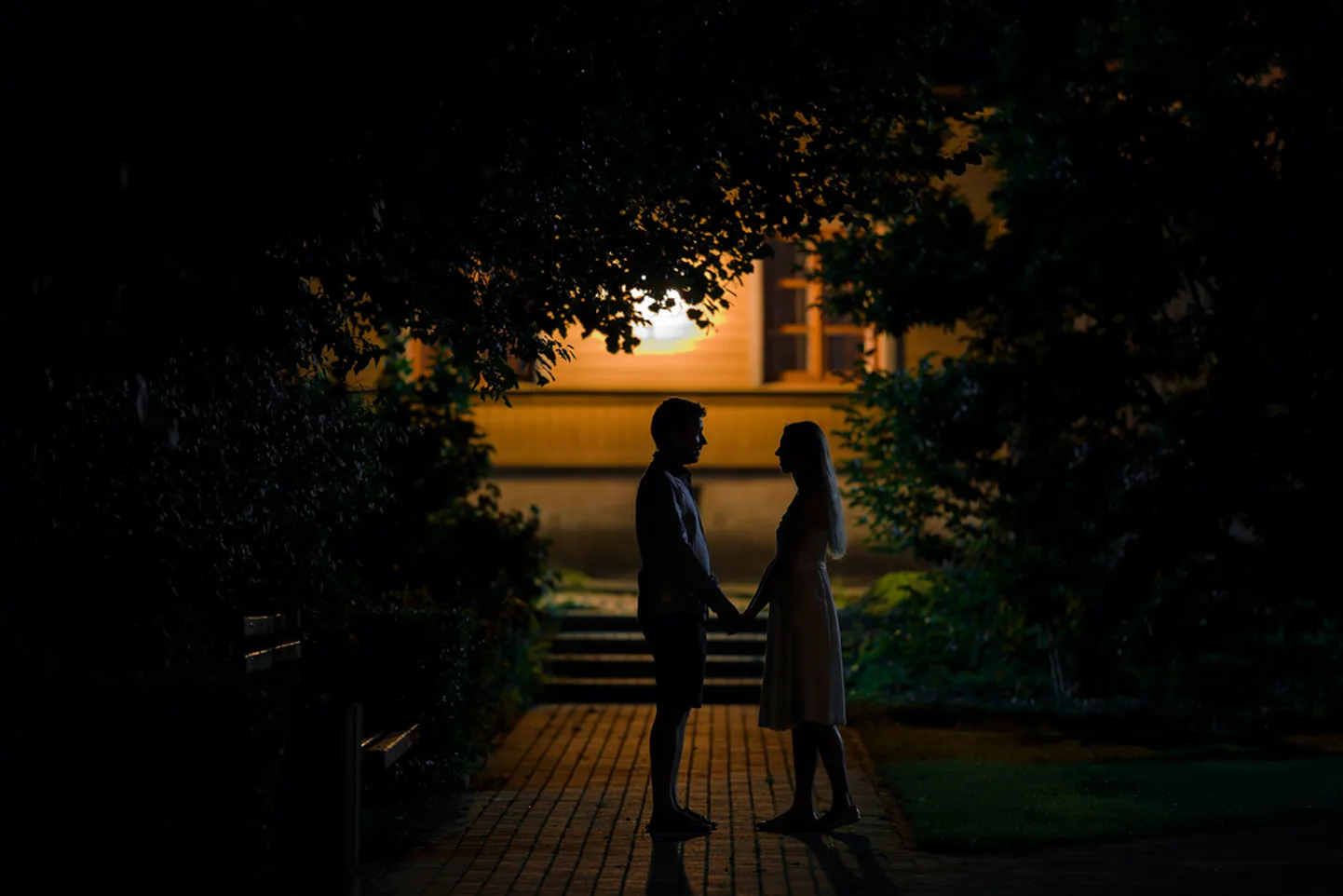 Artikli foto