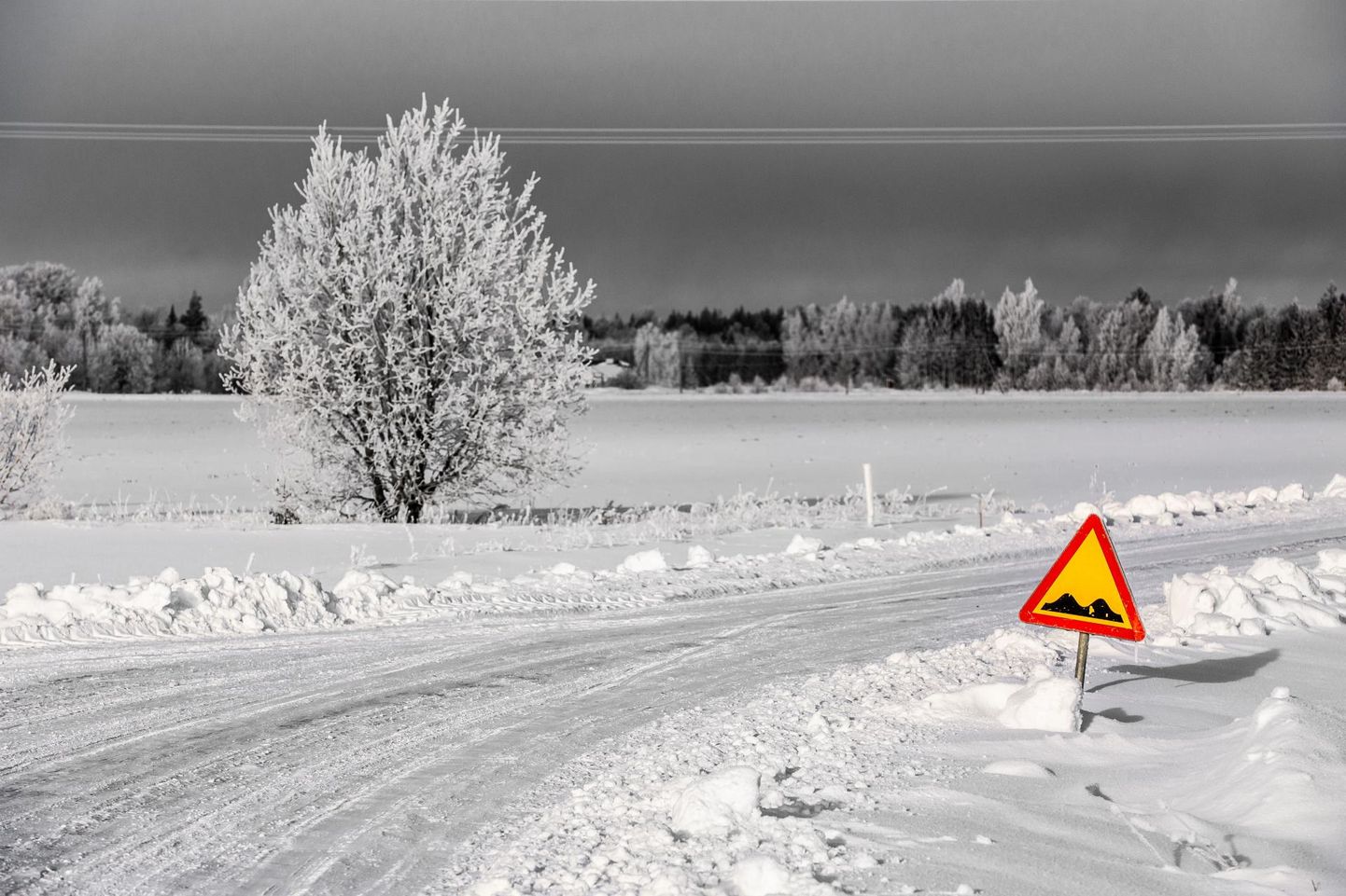 Põhja-Pärnumaa valla talvine loodus pakasega.