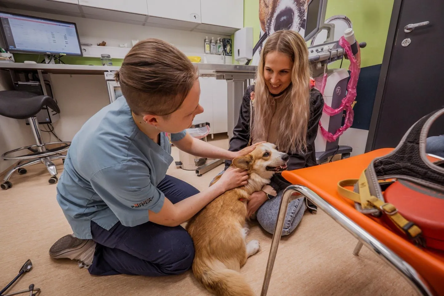 Teiste seas leiab Pärnumaal tööd veterinaararst.