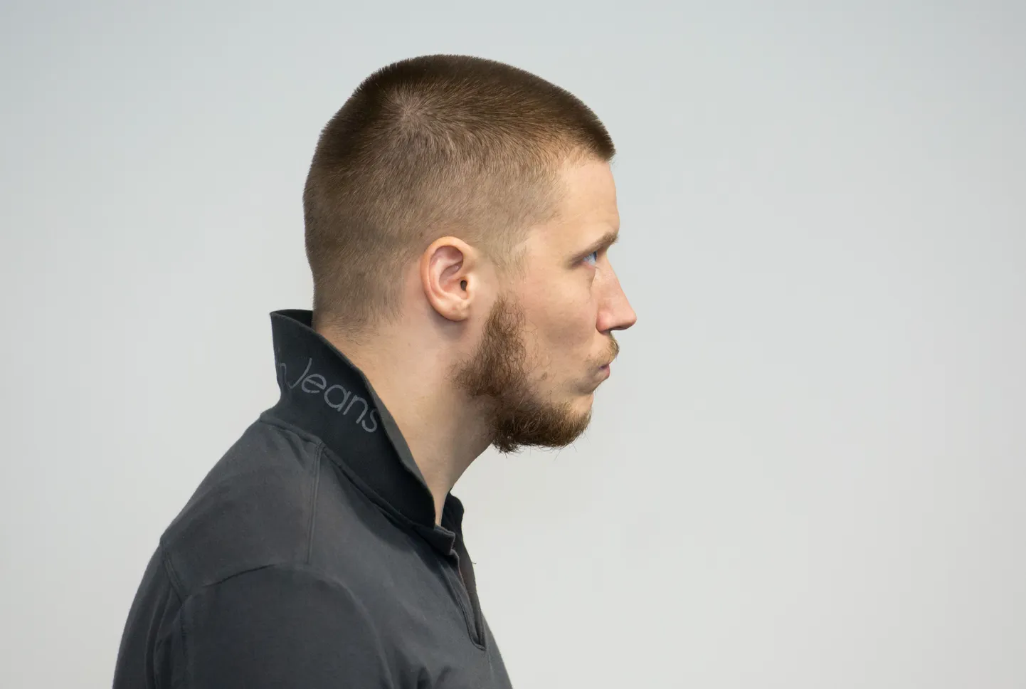 Article photo