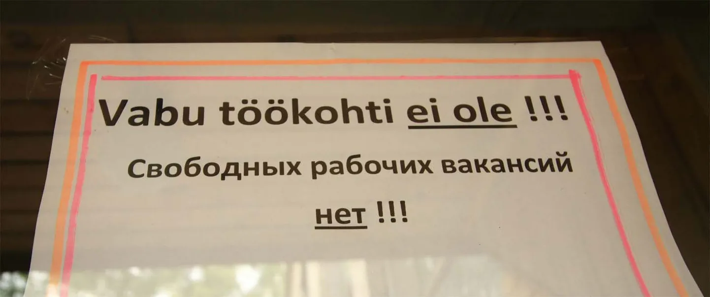 Artikli foto
