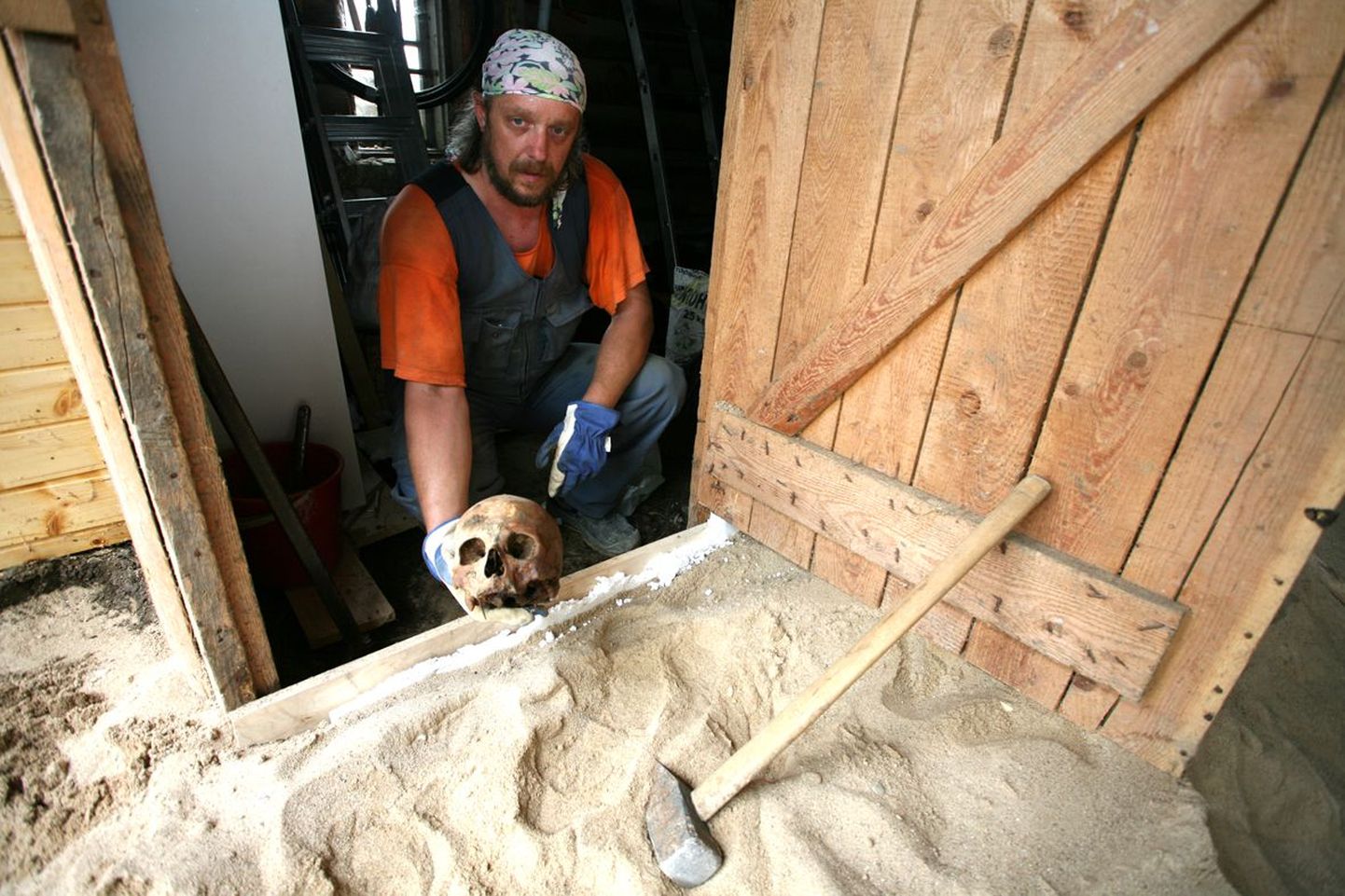 Ehitusmees Kaupo Kirsipuu näitab pealuud, mille ta teisipäeval juhuslikult leidis. Tema all maa sees lebab veel skelett, mille majaomanik lubas üles kaevata.