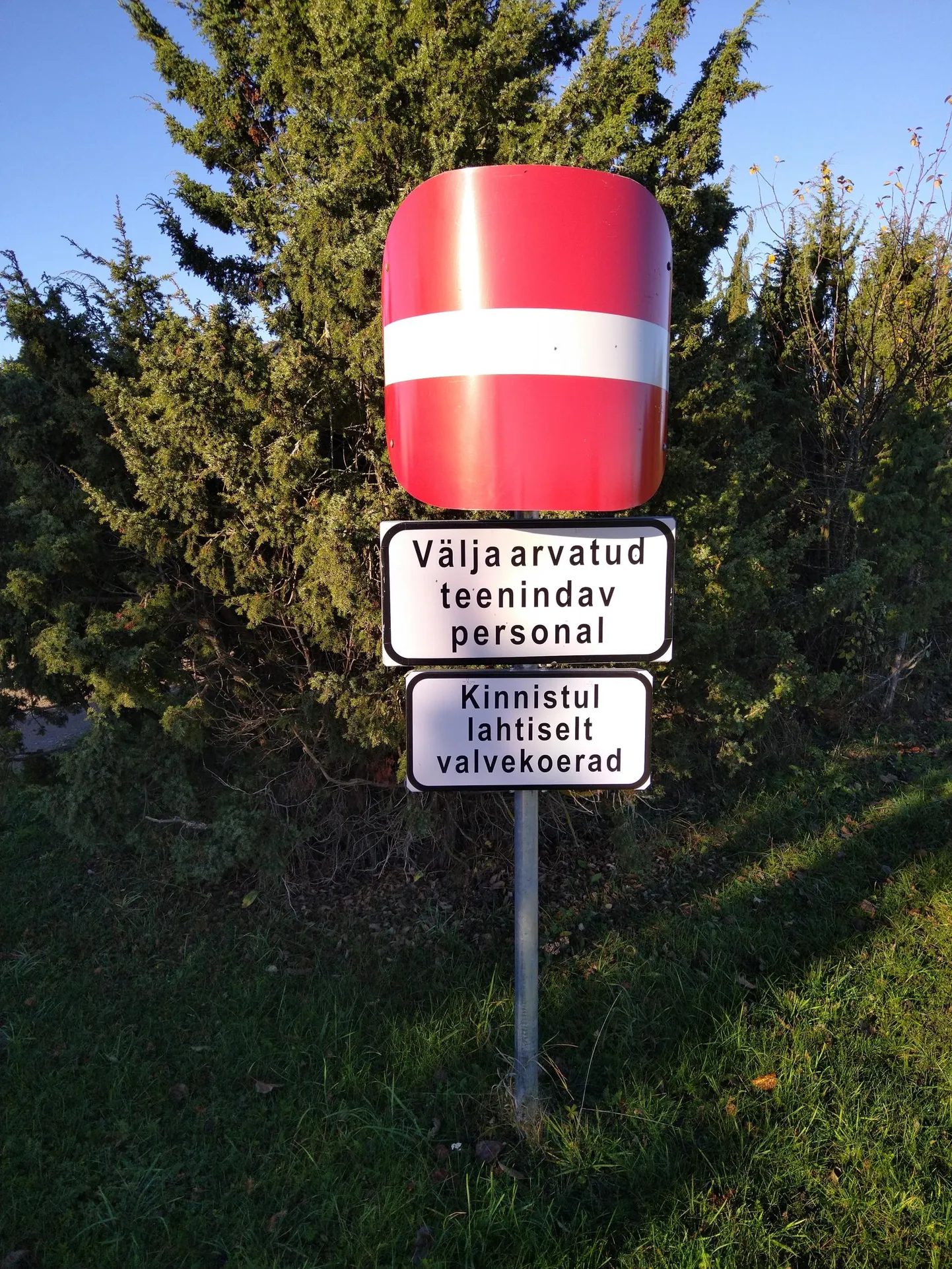 Hiiumaal vaidlevad naabrid, kus peaks koerte eest hoiatavad sildid seisma – tee ääres või aia ääres.