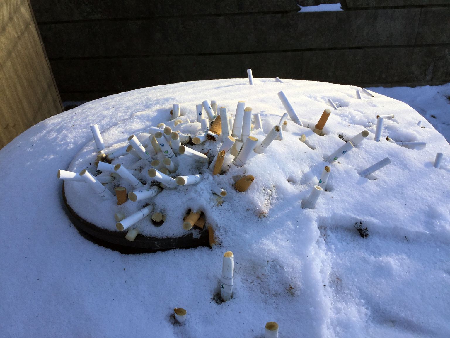 Suitsukonid lumes.