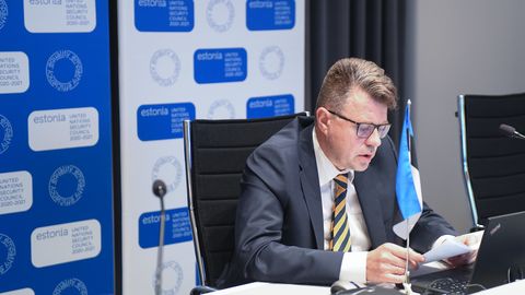 Эстония инициировала в СБ ООН обсуждение ситуации в Белоруссии