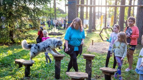 Koertepargis tuleb talguõhtu