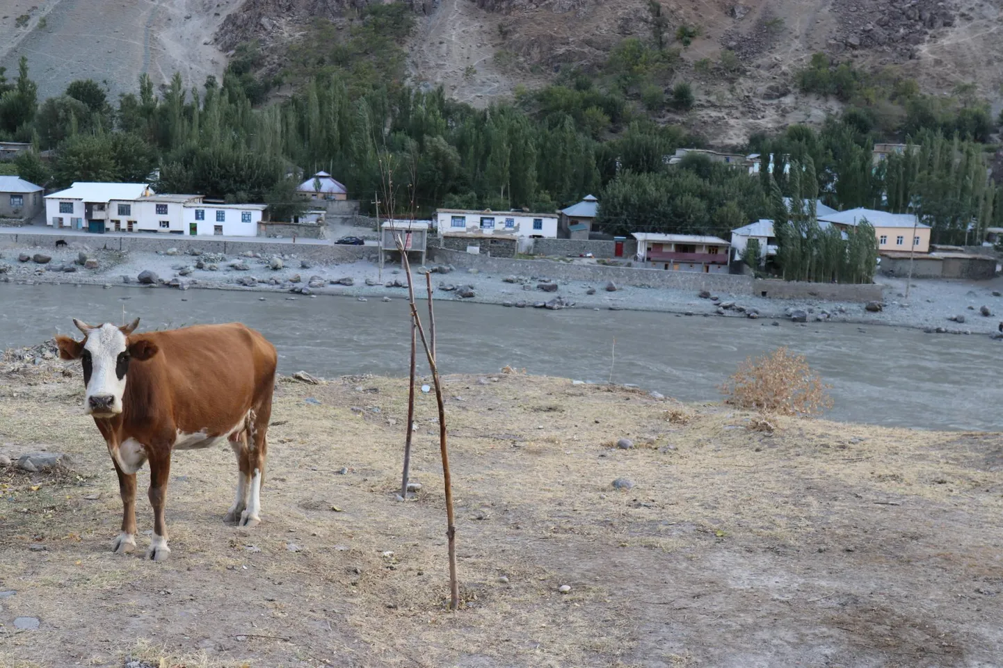 The Afghan kishlak (or village) on the opposite riverbank is called Darvoz.