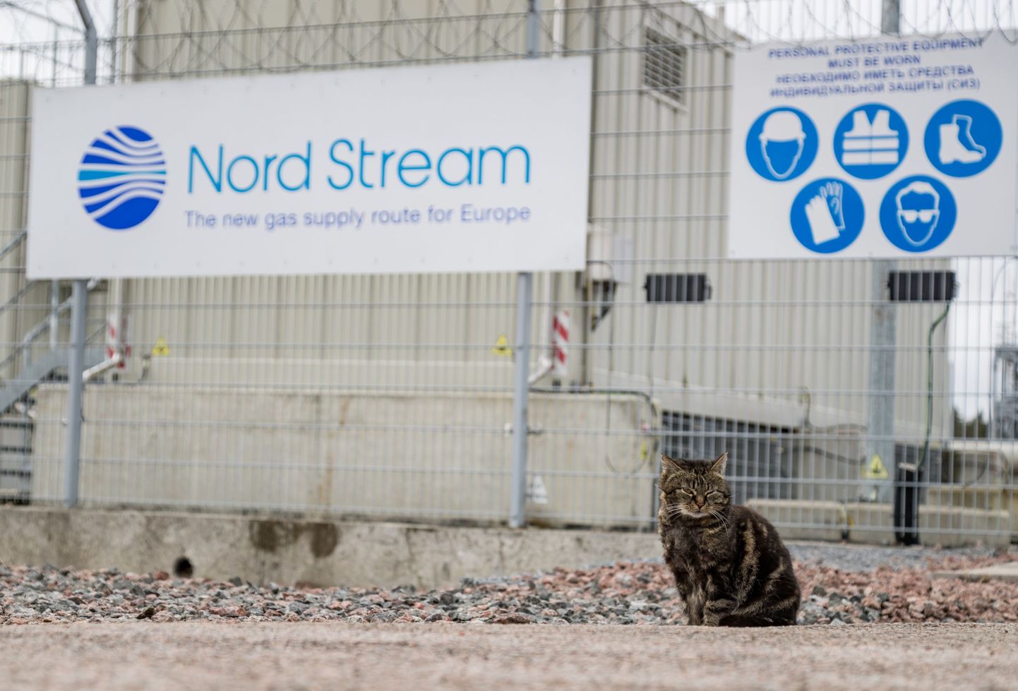 Nord Streami Portovaja kompressorijaam.