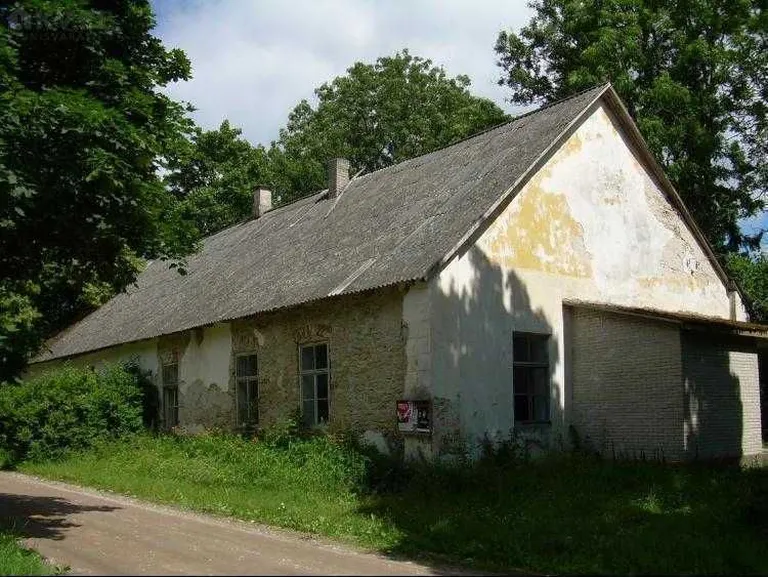 Artikli foto