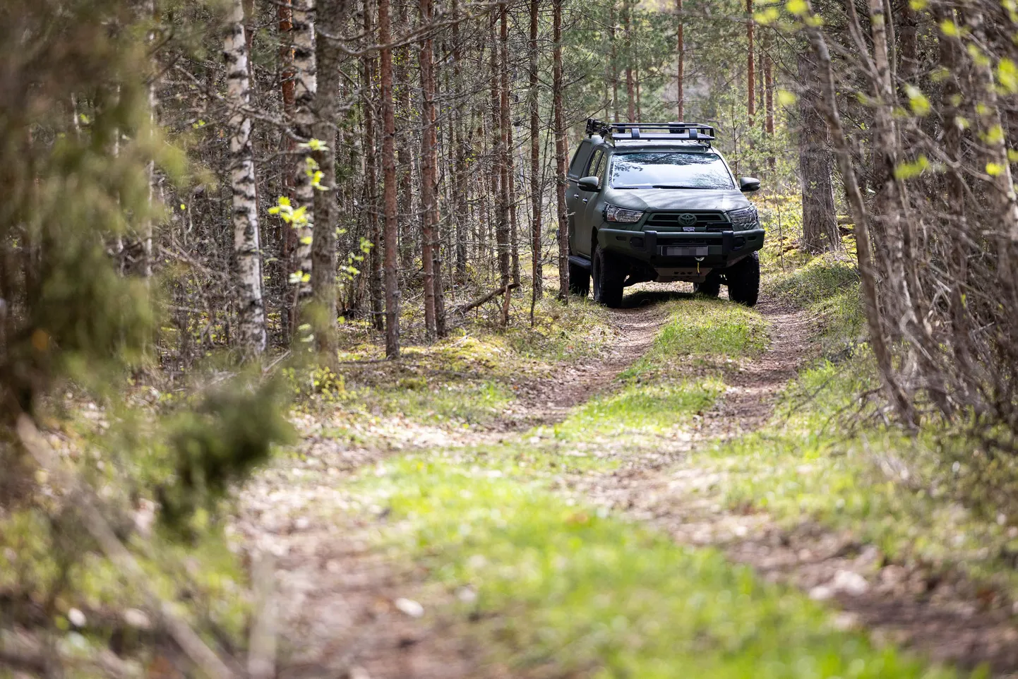 Внедорожник в лесу