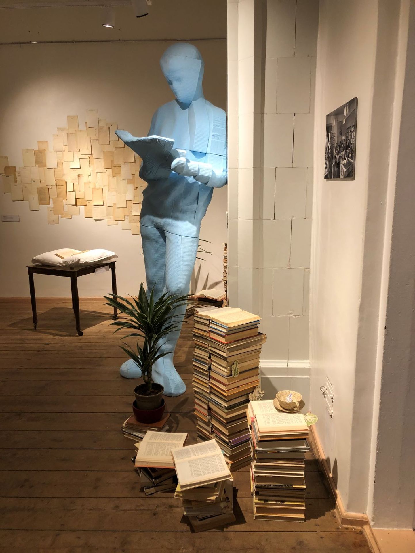 Külastajaid ootab Anne Rudanovski näituste seeria «Hinnatud ja hüljatud raamatud» neljas näitus.