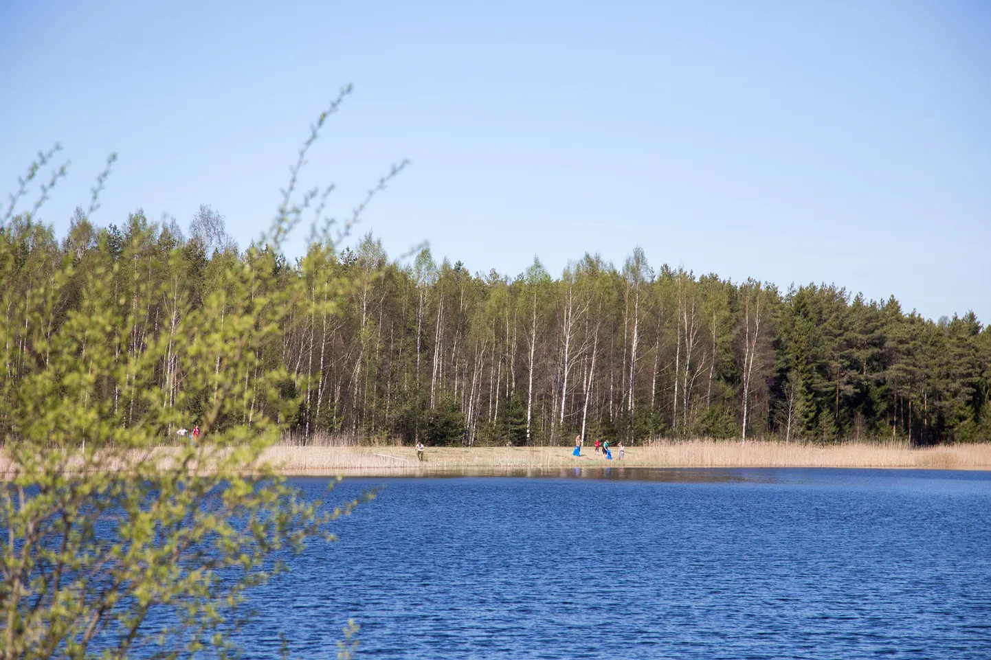 Tarbja paisjärv