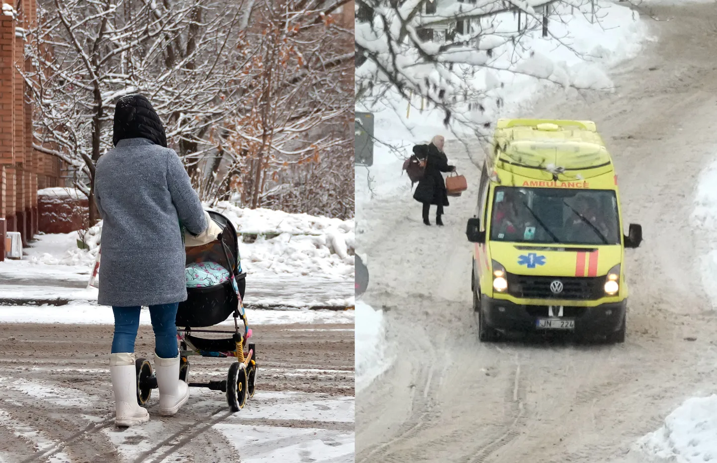Фото статьи
