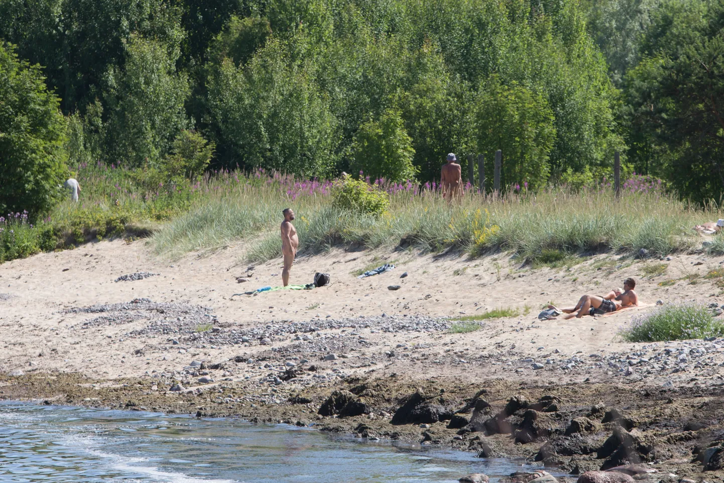 Tallinn, 24. juuli 2017. Nudistid Pikakari rannas.