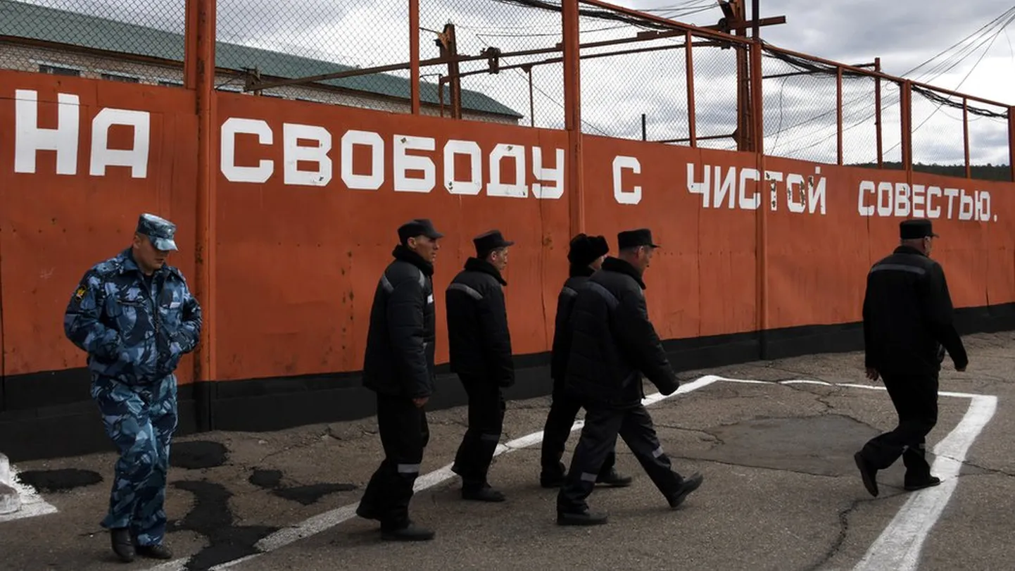 Фото статьи