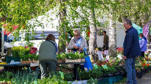 FOTOD ⟩ Jäneda laadal läksid müügiks isegi näidisteks väljas olnud käsitöömantlid