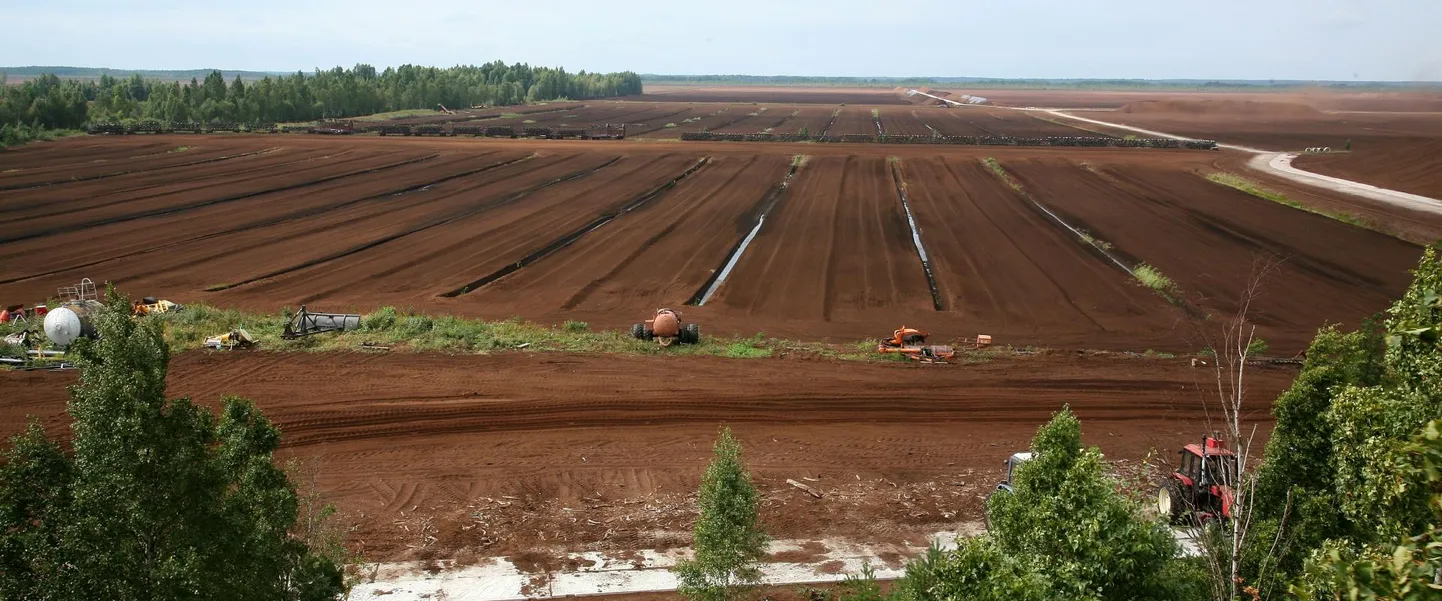 Turbakogumisväljakute vahel on kraavid, mis vee minema viivad.