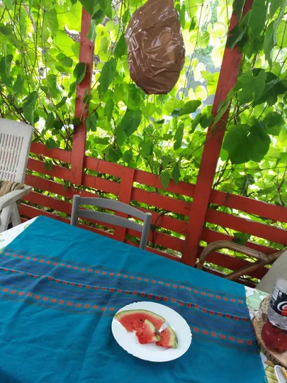 Uskumatu, aga see ajalehest ja teibist kokkukeeratud pallike hoiab tõepoolest herilased lähiümbrusest eemal. Vähemalt mõned tunnid petab putukad ära.