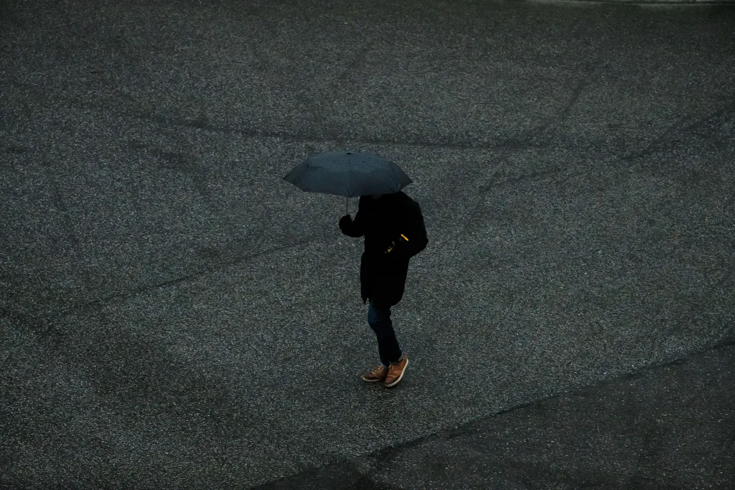 Iirimaa kandis möllav Ophelia tõi ka Eestisse suure pimeduse.