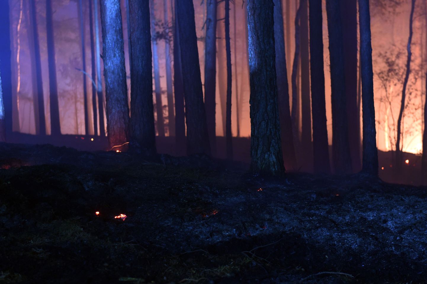 Пожар в национальном парке Кемери. Иллюстративное фото.