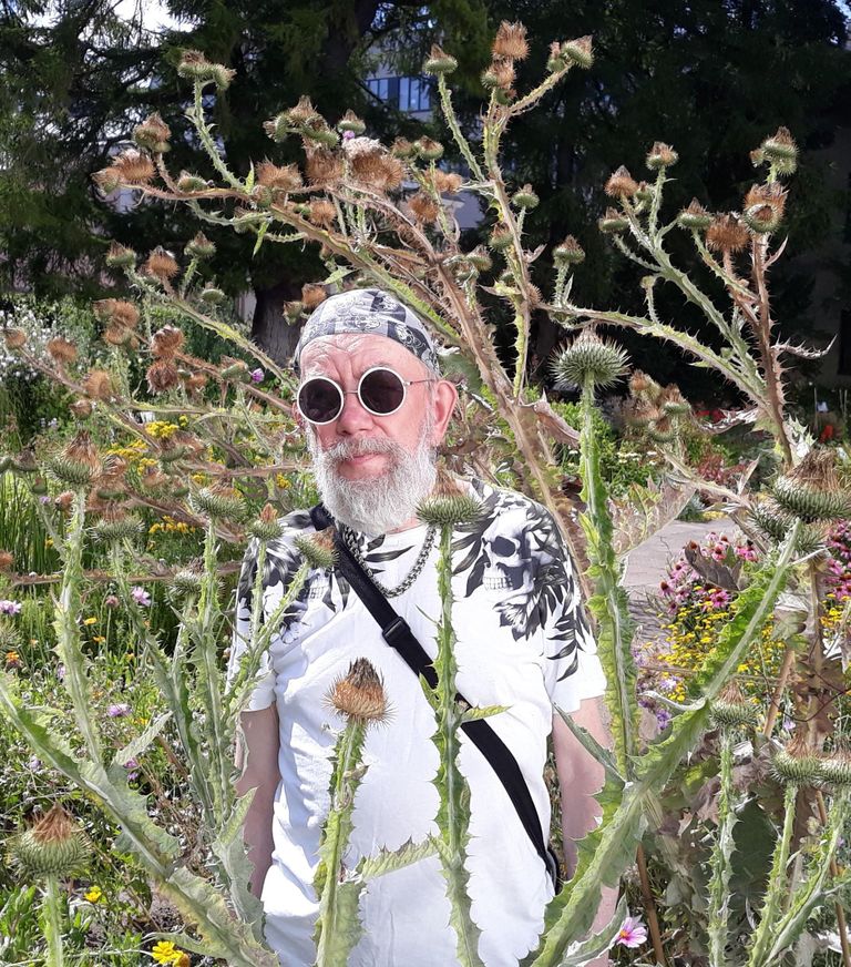 Loo autor ütleb, et Räpinas kasvasid terava ohaka taimed isegi 2,3 m kõrguseks.