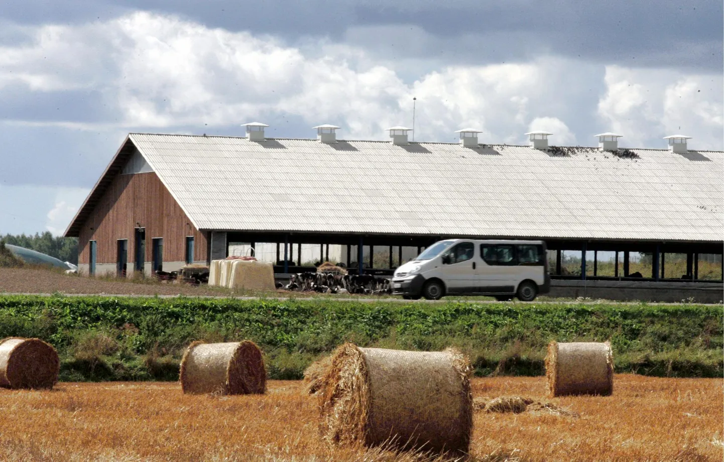 Vetiku S.T. farm.
