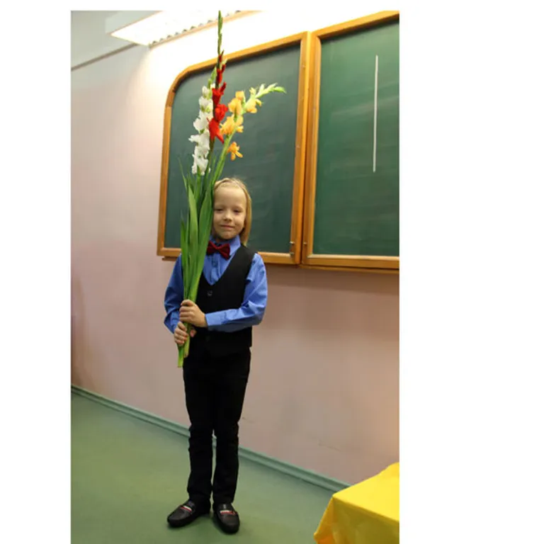 Raksta foto