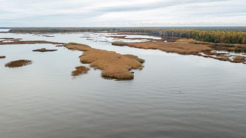 Eesti Atlantis. Peipsi järve vajunud Praaga saarelt leiti haruldasi esemeid
