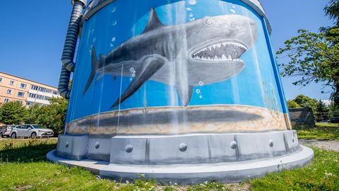 PILDID ⟩ Tänavakunstnik muutis reoveepumpla suureks akvaariumiks