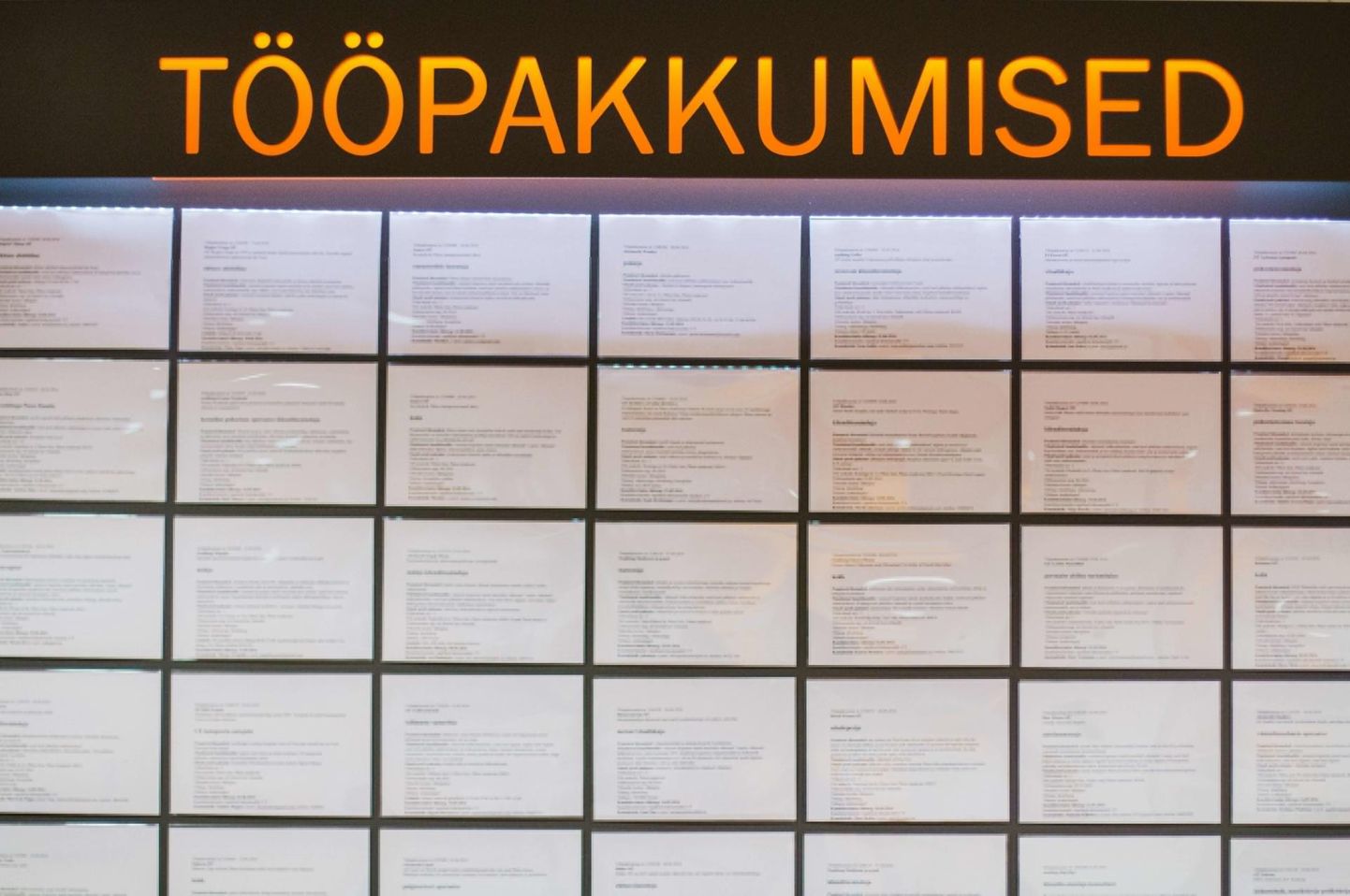 Töötukassa kaudu leiab Pärnumaal rakendust 98 ametikohal.