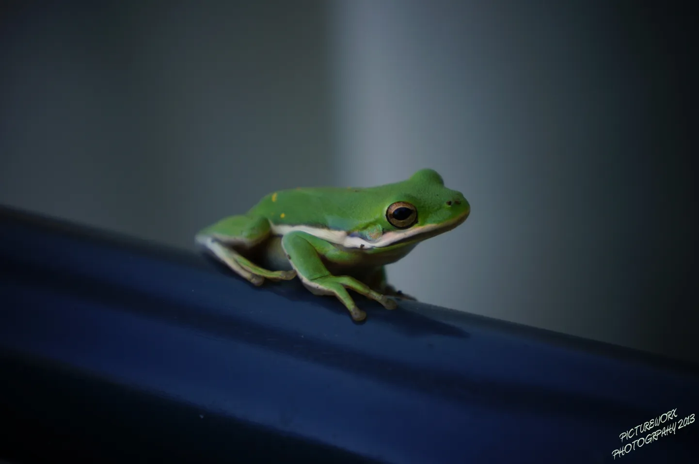 Raksta foto