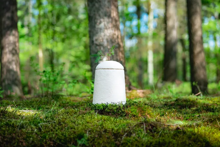 Tootjad soovitavad urni matta puude lähedusse, et tuhk looduses võimalikult palju head teha saaks