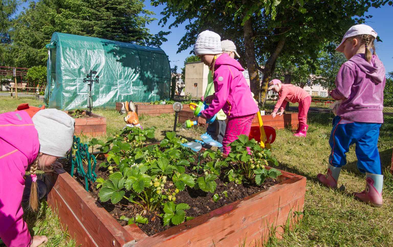 Neli aastat tagasi tõi õuealale rajatud aiamaa Tarekese lasteaiale õnneliku õppija Keskkonnakäpa tiitli.