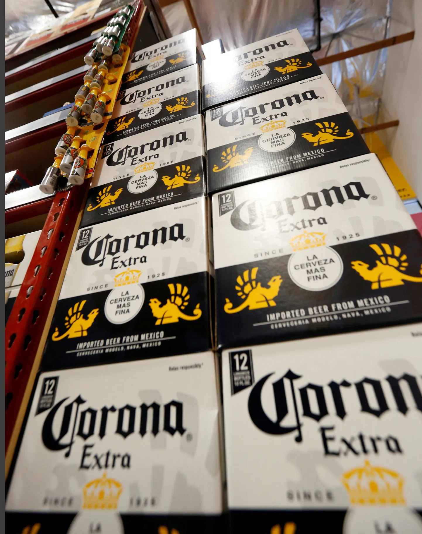 Corona õlu