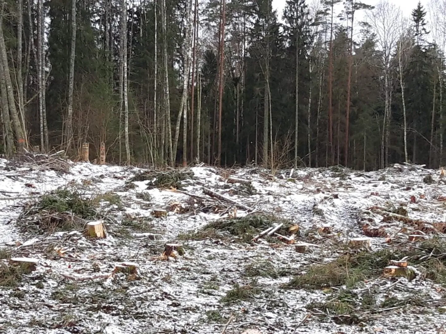 Raksta foto