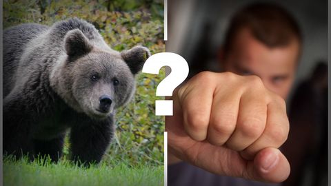 KOLUMN ⟩ Mõmm metsas või jõmm inimeste seas – keda tegelikult karta?