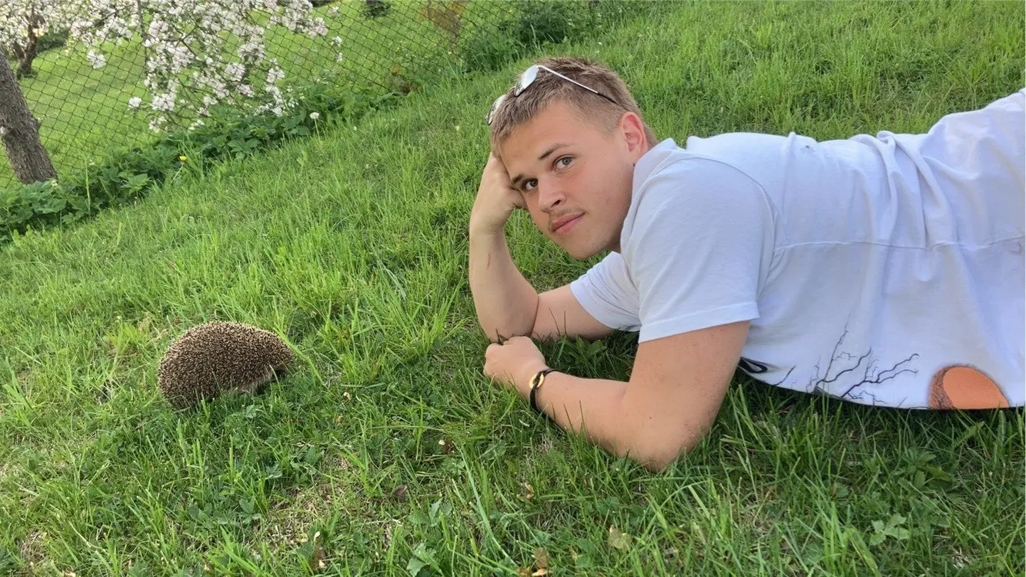 Võtame siilipopiga päikest. Pilt tehtud Orissaare alevikus.