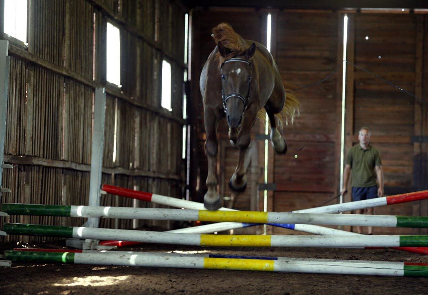 Autoriteetne žürii hindas hobuste välimikku, liikumist, hüppetahet ja kuulekust 10 palli süsteemis.